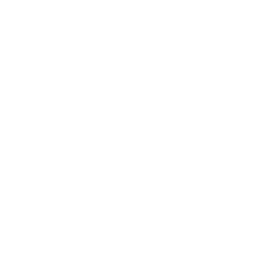 Amr Mohamed – Senior WordPress Developer & UI/UX Designer